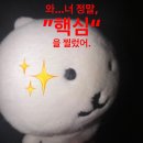 코아루/중앙아파트 중간 횡단보도(왼쪽) | 광교 &amp; 미사 다녀온 후기