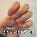 디오트 | 잠실새내 네일샵 짧은손톱 자석네일 디오트네일 방문후기