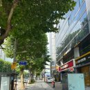 서초대로 271 이미지