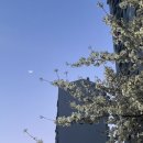 도원고등학교앞 이미지