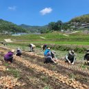 합천한의학박물관 이미지