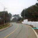 마금목장 Daum카페