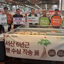 세종인삼