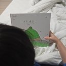 가족그림책 초록 거북 따뜻한 아빠 사랑 이야기