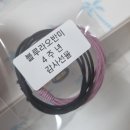 블루라오반미 본점