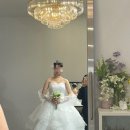 워킹덕 | [ ᰔW.07] 👰🏻‍♀️ (워킹) 대구 로즈로사 드레스 투어 &amp; 1차 피팅 후기