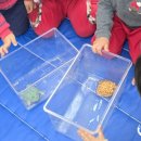 정원초등학교병설유치원 이미지