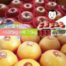 배파파과일 이미지