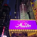 개런티 | 뉴욕 뮤지컬] 뉴욕 '알라딘' 뮤지컬 1층 중앙 좌석 개런티 예매 (후기 입증!) = 마이리얼트립 꿀빠는 팁
