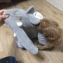 코끼리인형뽑기 이미지