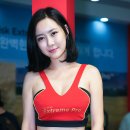 피앤아이 Daum카페