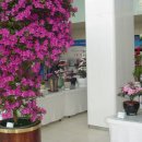 조이플라자 이미지