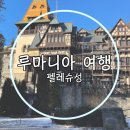 루마니아 일일투어 여행 펠레슈성 내부 후기