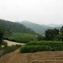 가림리 이미지