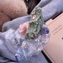 천지 애견 | 애견동반 남원 여행 지리산 촌캉스ㅣ명문제과 솔직후기