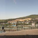 이노팜(주) | 용인 기흥 맛집 엘리펀트빌리지 캐치테이블 웨이팅 예약 꼭 먹어야 할 메뉴 추천