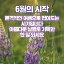 6월 1일 목요일 아침인사 이미지