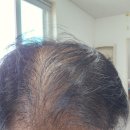 머리나라 이미지