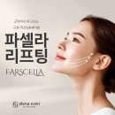 엘레나이젠 | 인천 파셀라 리프팅 완전 정복 (엘레나이젠 추천 시술)