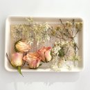 효자컨벤션웨딩홀 이미지