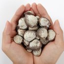 벌교택배 이미지