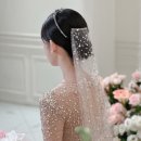 라플레르 이미지