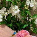 바다친구들 이미지