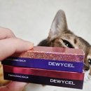 씨유(CU) 영도병원점 | 블챌)튜이셀 틴투어링밤(내돈내산)+자궁선근증상담(청담산부인과)+씨유편의점(네이버멤버쉽)