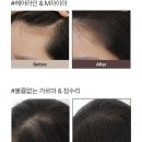 데이헤어 - 목포시 동명로 64 | 데이헤어