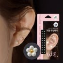 더블유 카카오 검색결과