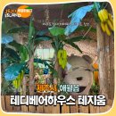 테지움사파리 | 제주 애월 가볼만한곳 테디베어하우스 테지움