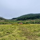 선학농장 이미지