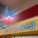 SK(주) | 농구... 좋아하세요? / 서울 SK 나이츠 직관 후기, 잠실학생체육관 팁