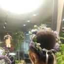 머리꽃 피우다 이미지