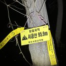 영광머리고기 이미지
