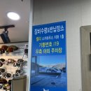 월드스키하이원렌탈샵 이미지