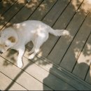 일양칼라현상소 - 고양시 일산서구 중앙로 1391 | 일양칼라현상소