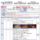 유명한여행사