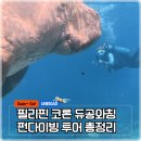마리카 - 송파구 | 필리핀 코론 듀공 다이브 센터, 듀공 와칭 & 펀다이빙 투어 후기 (예약방법 비용 총정리)