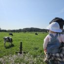 채은목장 이미지