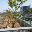 부림공인중개사사무소 이미지