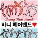 바니헤어 이미지