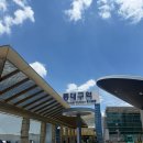 식백미 | 대구 호텔인터불고만촌 결혼식 하객 뷔페후기 - 뷔페사진O