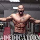 윌 휘트니스 이미지