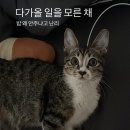 왜관동물병원 이미지