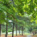 호명호수(갤러리) 이미지