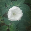 보령댐휴게공원 이미지