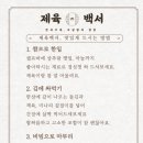 알파고기플러스