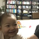 011120-011520/생후294일-298일/9m19d-23d/후기이유식(1)/밀린일기 제9탄
