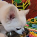 하쯔 베이커리 이미지